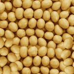 Honey Gold 1-Bite