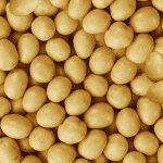 Honey Gold 2-Bite