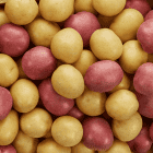 Sunburst Blend 2-Bite