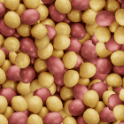 Sunburst Blend Nibbles