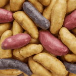 Sunset Fingerlings Medium